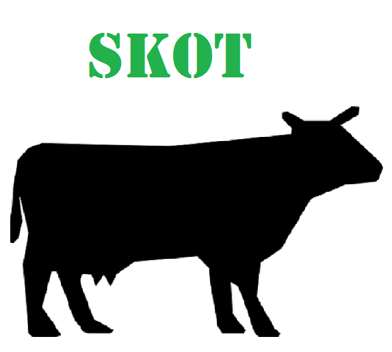 Krmivo pro skot